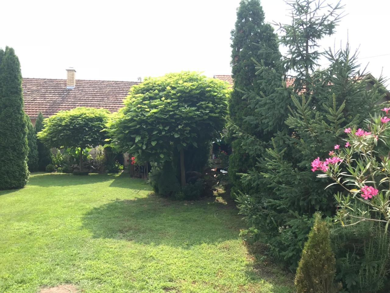 Villa Nirvana Palić Eksteriør bilde